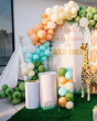 Balloon Decor